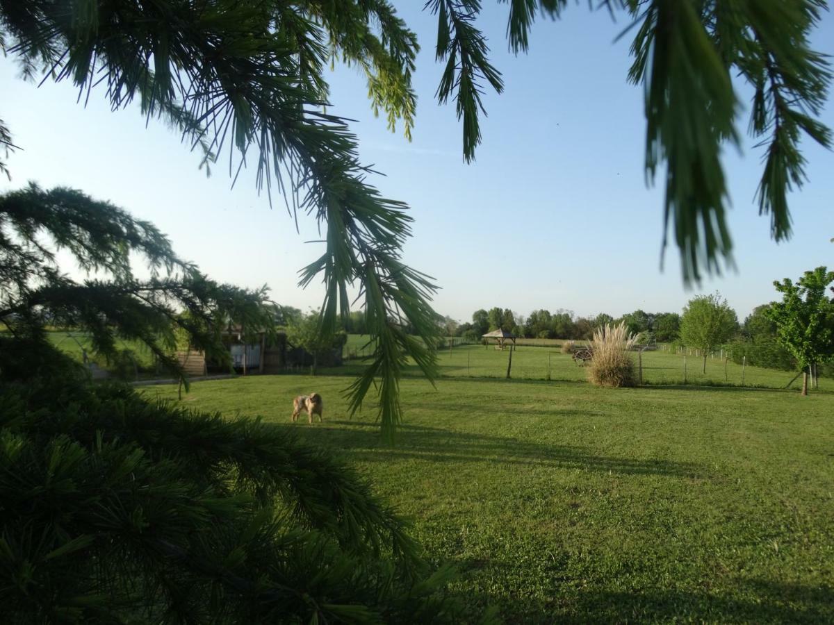 مبيت وإفطار Cheyssieu Les Glycines المظهر الخارجي الصورة